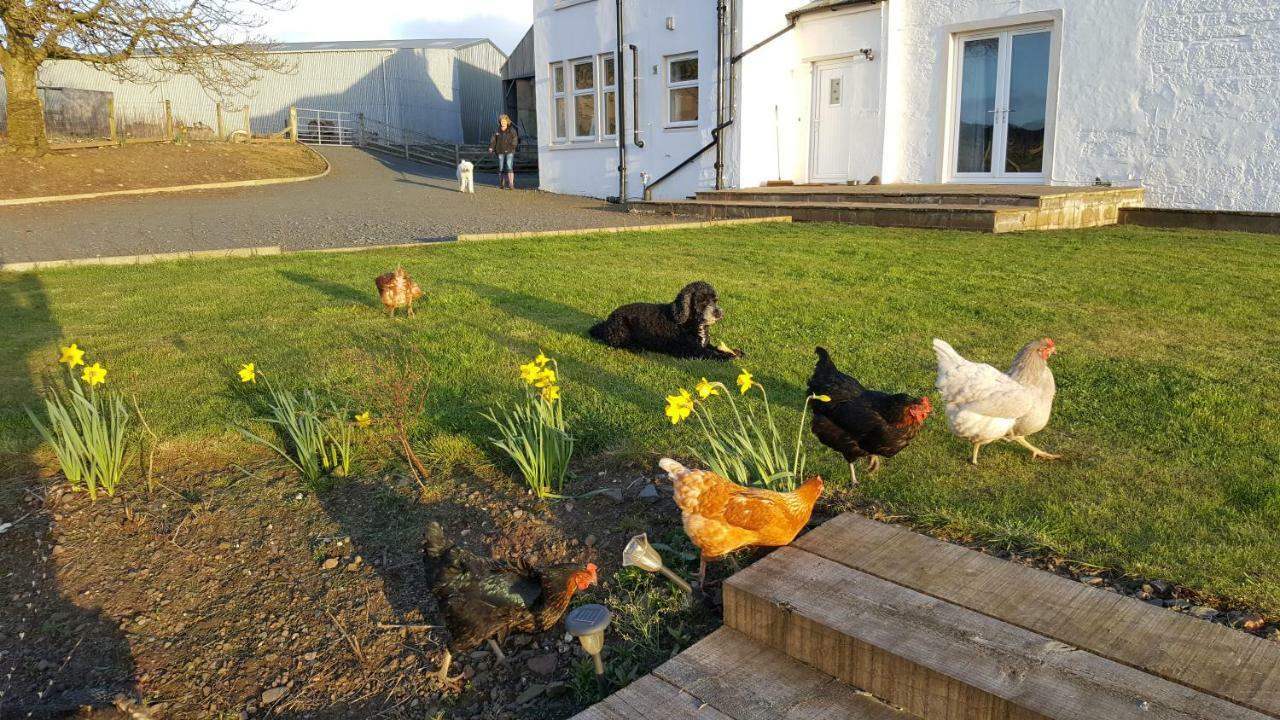 Crofthead Farm House Tarbolton 外观 照片