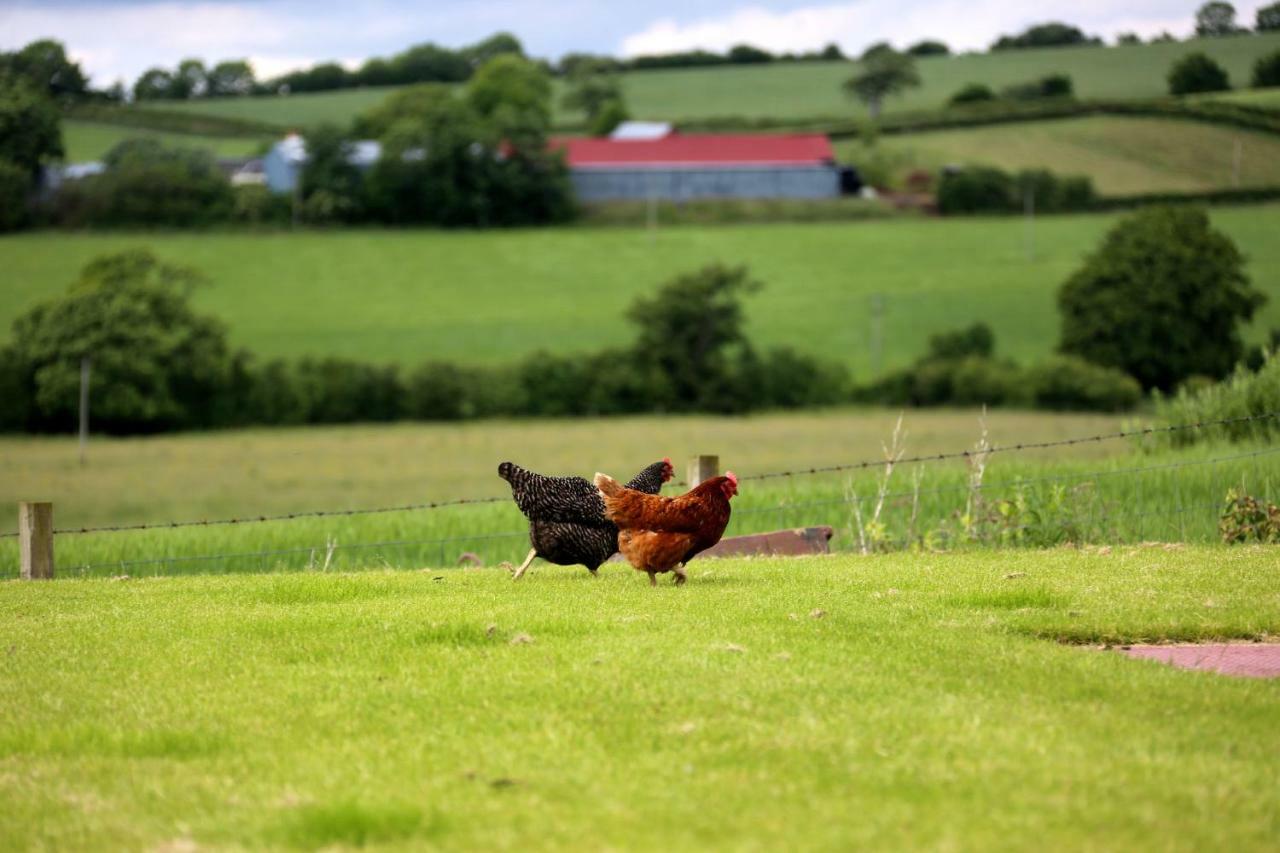 Crofthead Farm House Tarbolton 外观 照片