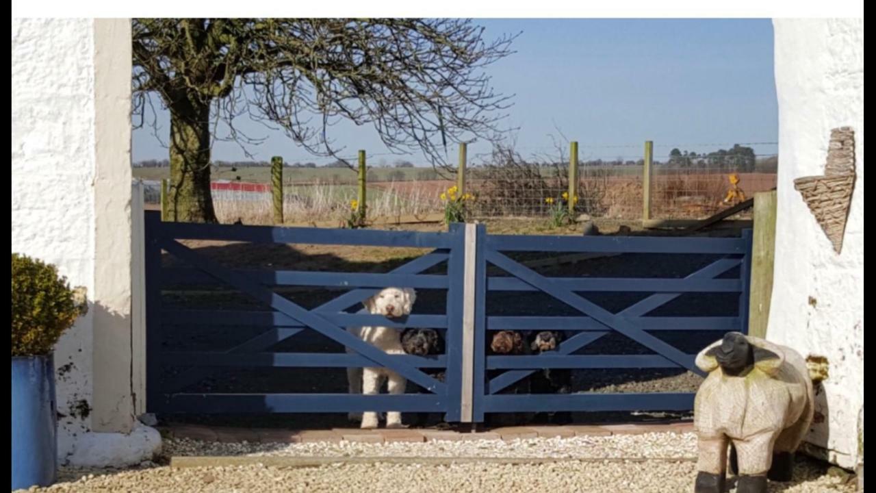 Crofthead Farm House Tarbolton 外观 照片